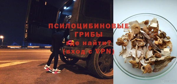 сатива Володарск
