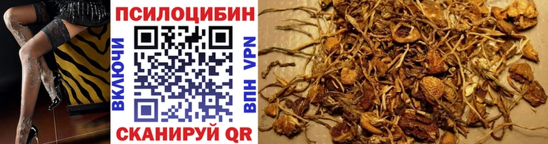 Галлюциногенные грибы GOLDEN TEACHER  Купить  Руза 